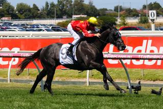 Global Exchange claiming the G2 Autumn Classic at Caulfield. 
